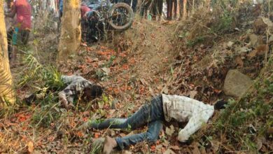 रायगढ़ में रफ्तार का कहर : पेड़ से टकराई बाइक, दो युवकों की मौत, एक गंभीर