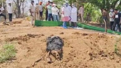 बिना पोस्टमार्टम के भालू को दफनाया, फॉरेस्ट गार्ड और डिप्टी रेंजर को शो कॉज नोटिस जारी