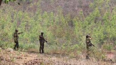 बीजापुर और कांकेर में मुठभेड़ में 30 नक्सली ढेर