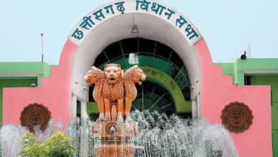 छत्तीसगढ़ ग्रोथ एंड स्टेबिलिटी फंड विधेयक 2025 विधानसभा में सर्वसम्मति से पारित…