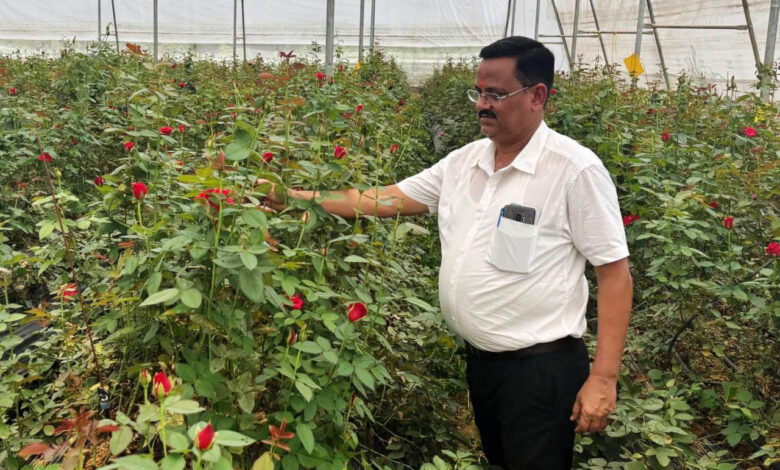 फूलों की खेती से बदल गई किस्मत: किसान दिनेश सिंह सालाना कमा रहे 10 लाख रुपये….