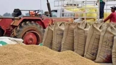 पड़ोसी राज्यों से अब नहीं आएगा धान! बीजापुर प्रशासन हुआ सख्त — निगरानी दल बनाए, सीमाओं पर कड़ी चेकिंग शुरू पड़ोसी राज्यों से अब नहीं आएगा धान! बीजापुर प्रशासन हुआ सख्त — निगरानी दल बनाए, सीमाओं पर कड़ी चेकिंग शुरू