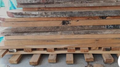 दबंग महिला फॉरेस्ट रेंजर की ताबड़तोड़ कार्रवाई, वन तस्करों में मचा हड़कंप