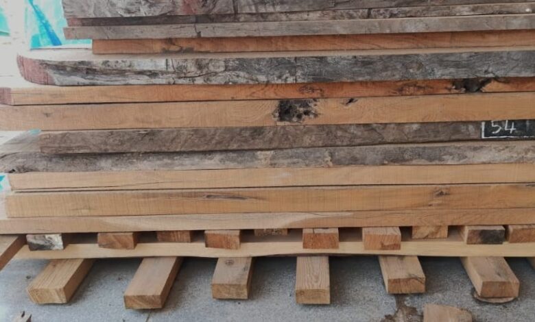 दबंग महिला फॉरेस्ट रेंजर की ताबड़तोड़ कार्रवाई, वन तस्करों में मचा हड़कंप दबंग महिला फॉरेस्ट रेंजर की ताबड़तोड़ कार्रवाई, वन तस्करों में मचा हड़कंप