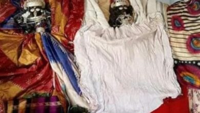 जैतालुर मंडई: कोदई माता मेला आज, तैयारियां पूरी