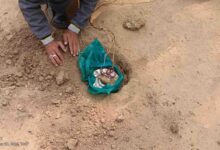 बीजापुर में सुरक्षा बलों की सर्चिंग के दौरान मिली बड़ी सफलता