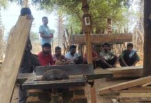 पामेड़ अभयारण्य में वन माफिया सक्रिय