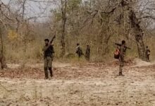 बीजापुर मुठभेड़ में महिला कैडर सहित 4 माओवादी ढेर, AK-47 और .303 रायफल बरामद