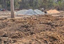 बफर एरिया में चली आरी, 64 पेड़ों की कटाई का आरोप