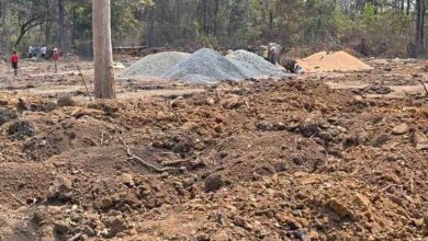 बफर एरिया में चली आरी, 64 पेड़ों की कटाई का आरोप