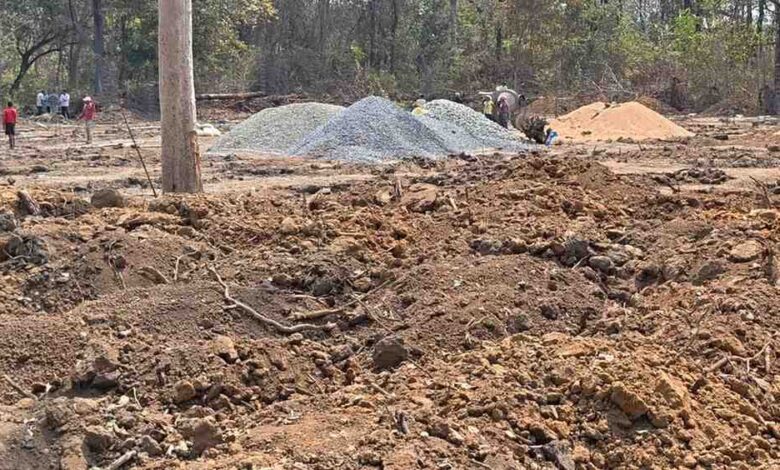 बफर एरिया में चली आरी, 64 पेड़ों की कटाई का आरोप बफर एरिया में चली आरी, 64 पेड़ों की कटाई का आरोप