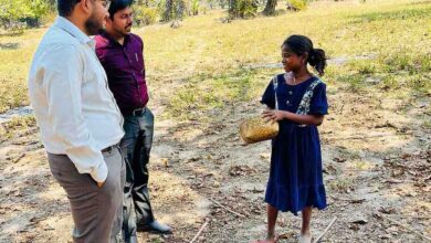 महुआ बीन रही बच्ची तक पहुंचे कलेक्टर, नन्हें कदमों को दिलाई स्कूल की राह