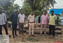 अवैध सागौन पर वन विभाग की बड़ी कार्रवाई, 3.422 घन मीटर लकड़ी जप्त