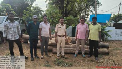 अवैध सागौन पर वन विभाग की बड़ी कार्रवाई, 3.422 घन मीटर लकड़ी जप्त