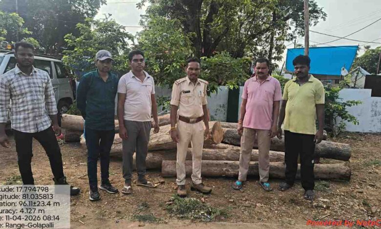 अवैध सागौन पर वन विभाग की बड़ी कार्रवाई, 3.422 घन मीटर लकड़ी जप्त